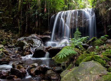 Quebrada el Cedral 